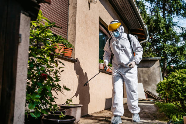 Best Pest Control Near Me  in Knoxvle, IL